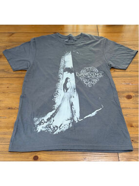 Evanescence The Open Door Graphic Tee, Size S, Grey and White